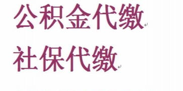 专业代理五险一金代缴 真实可靠的服务解析